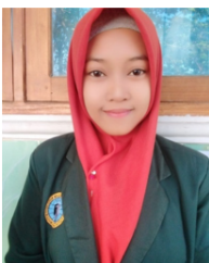 Noer Itrowiyana